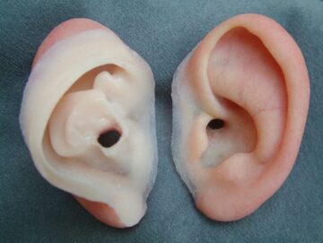 2 prosthetic ears one showing the inside and one the outside 