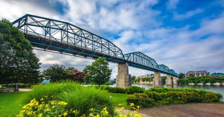 a bridge over water with grass and flowers