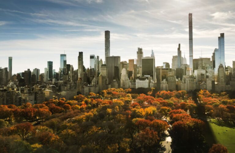 a city with trees and tall buildings