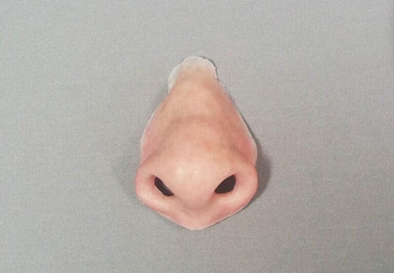 a close up of a nose