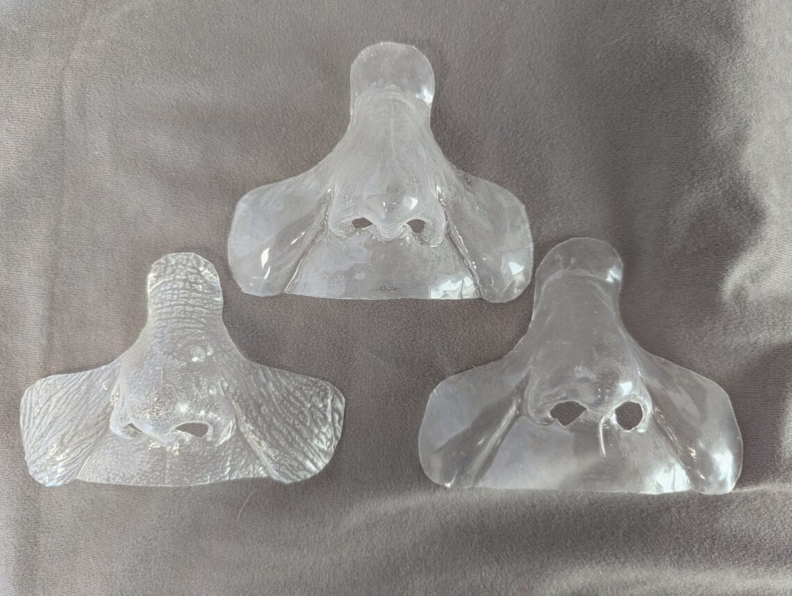 interim nasal prosthetic covers