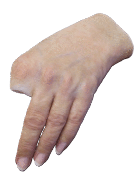 prosthetic hand with lifelike veins wrinkles and attractive fingernails