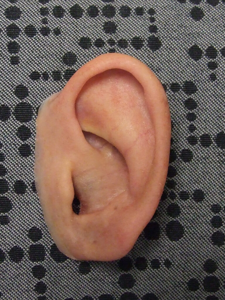 a prosthetic ear with lifelike veining and details